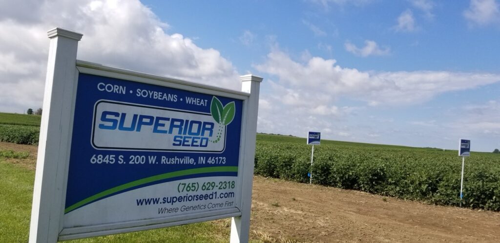 Post and Panel Sign